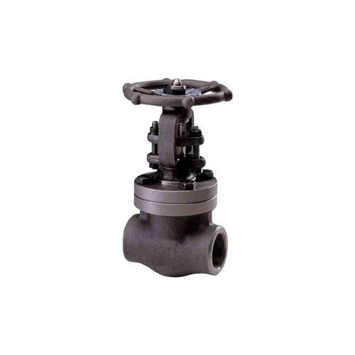 CAST STEEL GATE VALVE - Rising Stem x Class 800, BSP Female